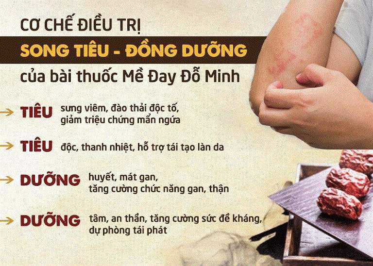 Cơ chế tác dụng bài thuốc mề đay Đỗ Minh