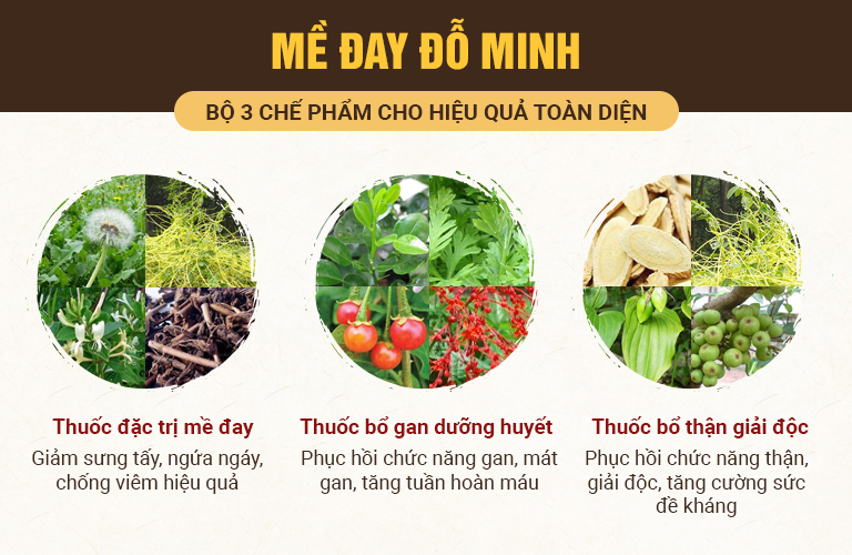 Thành phần của bài thuốc Mề đay Đỗ Minh gồm 30 thảo dược quý