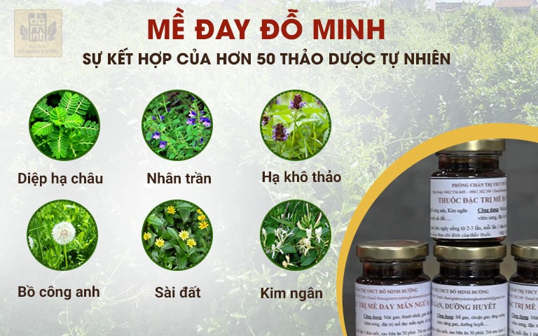 Nguồn thảo dược thuần chay dùng điều chế bài thuốc nam Mề đay Đỗ Minh