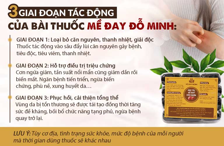 Giai đoạn tác động của bài thuốc Mề Đay Đỗ Minh