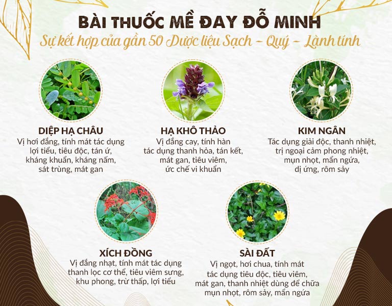 Thành phần bài thuốc Mề Đay Đỗ Minh